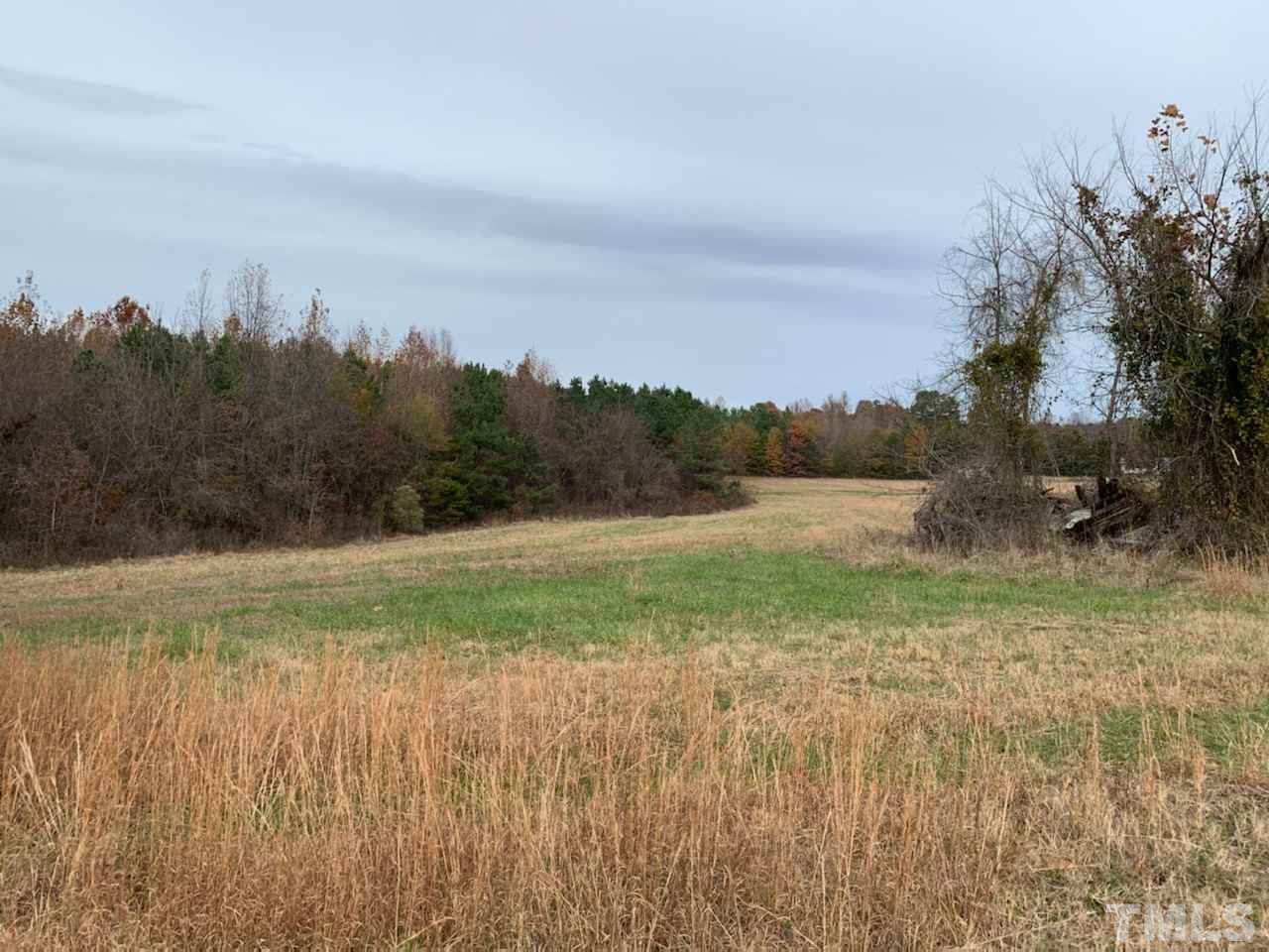 121 Archie Clayton Road Roxboro, NC 27574 - Photo 2 of 8 a view of a yard with a tree
