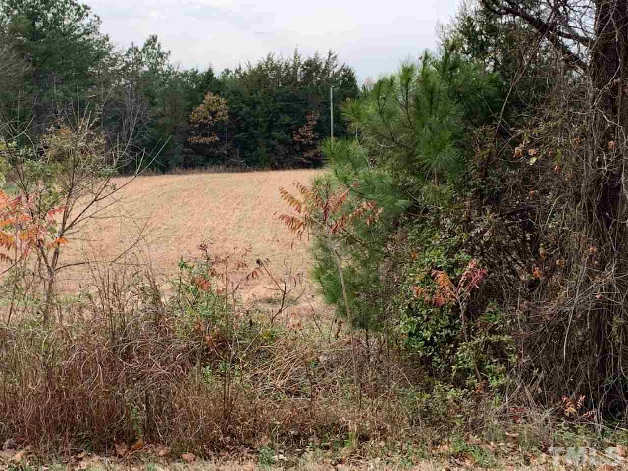 121 Archie Clayton Road Roxboro, NC 27574 - Photo 3 of 8 a view of mountain view with trees in the background