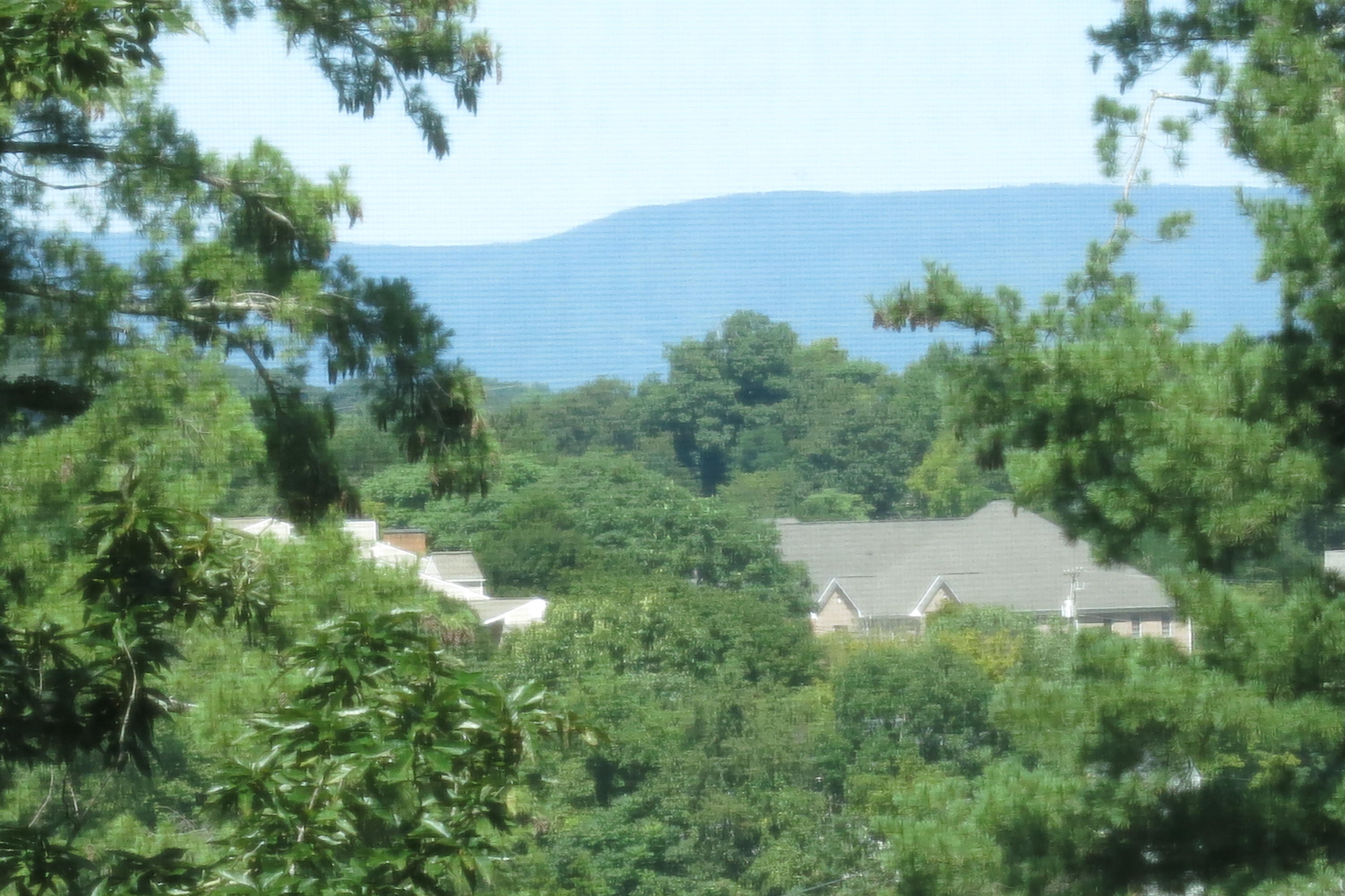 3241 Rasmont Road Roanoke, VA 24018 - Photo 2 of 32 Views out back