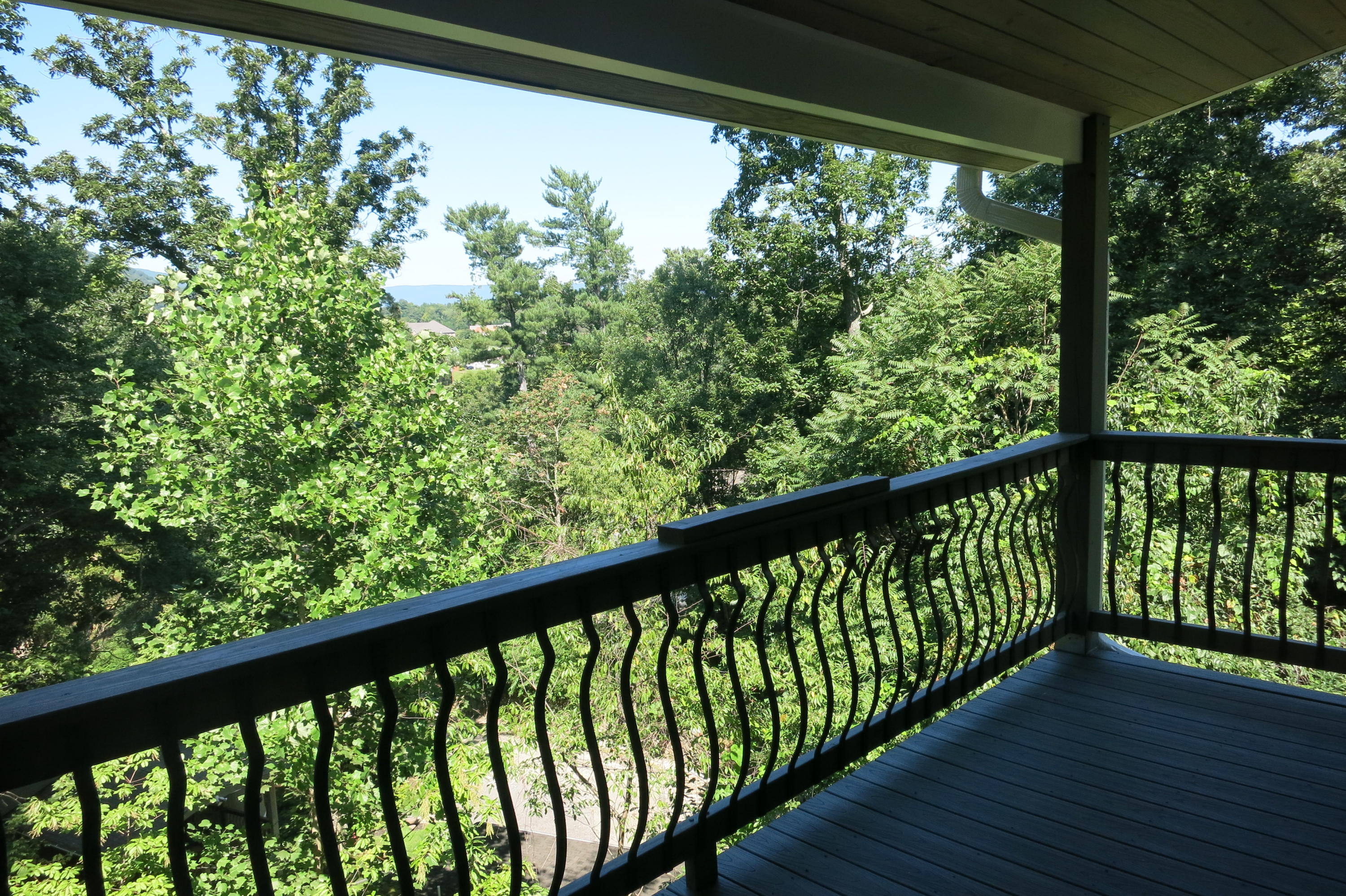 3241 Rasmont Road Roanoke, VA 24018 - Photo 25 of 32 Deck