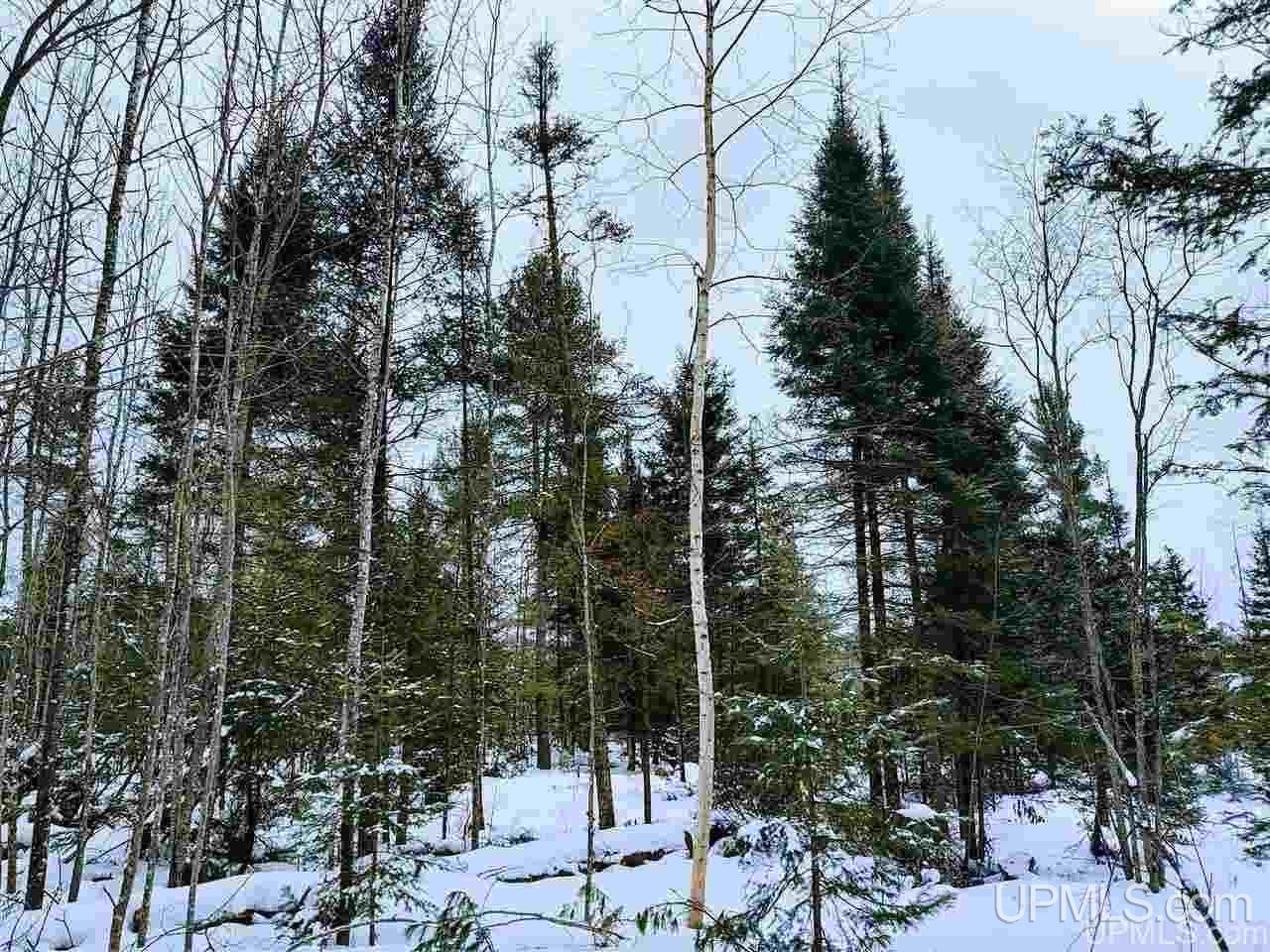 Tbd Forest Hwy 16 Road Iron River, MI 49935 - Photo 38 of 49