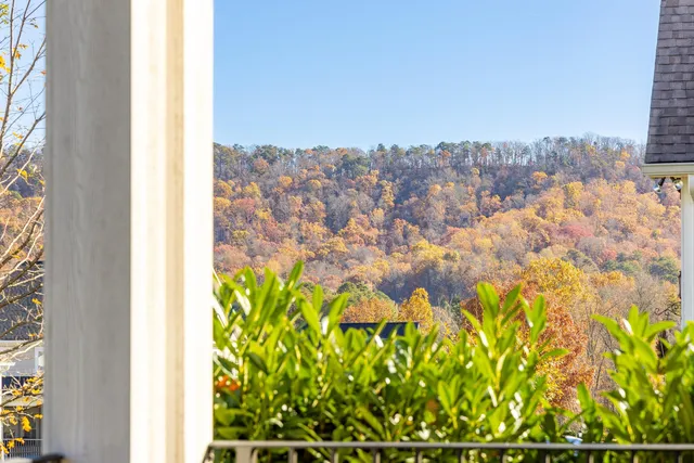 $725,000 | 9230 White Ash Drive, Ooltewah, TN 37363