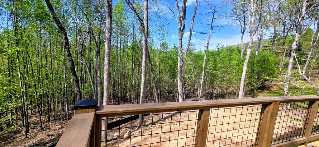 879 Summit Way Blairsville, GA 30512 - Photo 12 of 15