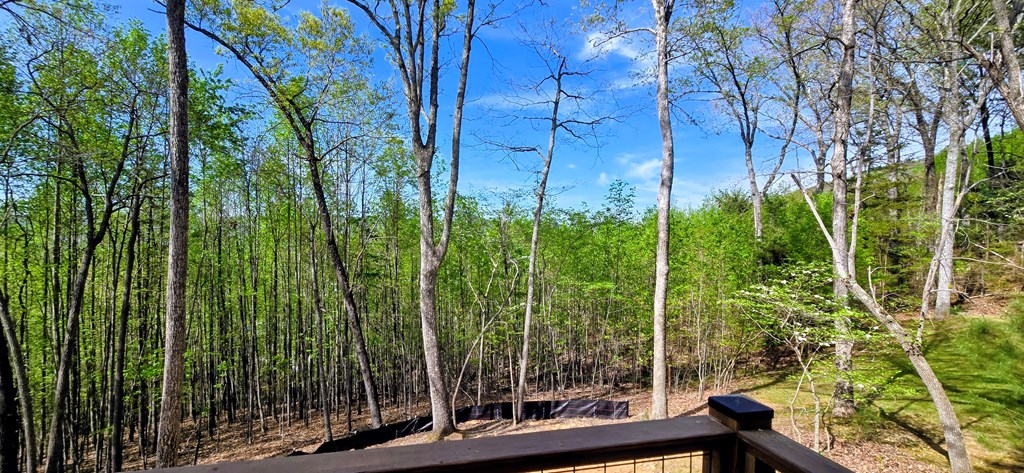 879 Summit Way Blairsville, GA 30512 - Photo 2 of 15