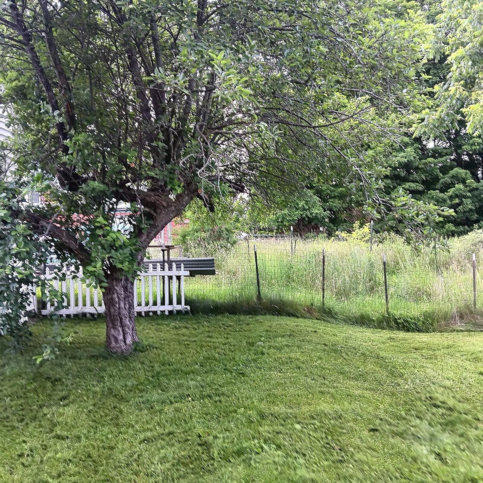 29 Wilson Street Anson, ME 04911 - Photo 40 of 59 4