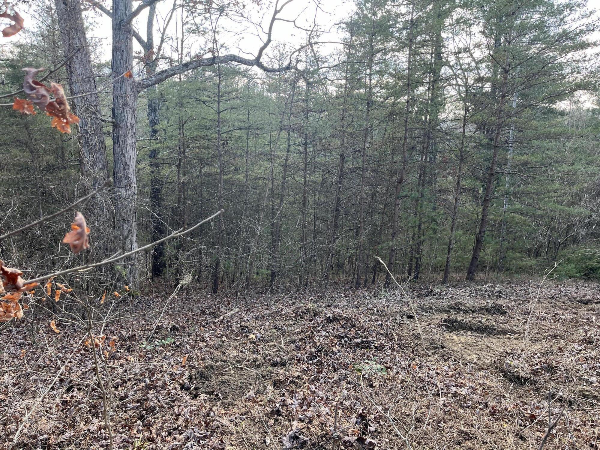 Lot 29 Lower Holler Top Road Campton, KY 41301 - Photo 6 of 9 20240202232906131472000000-o