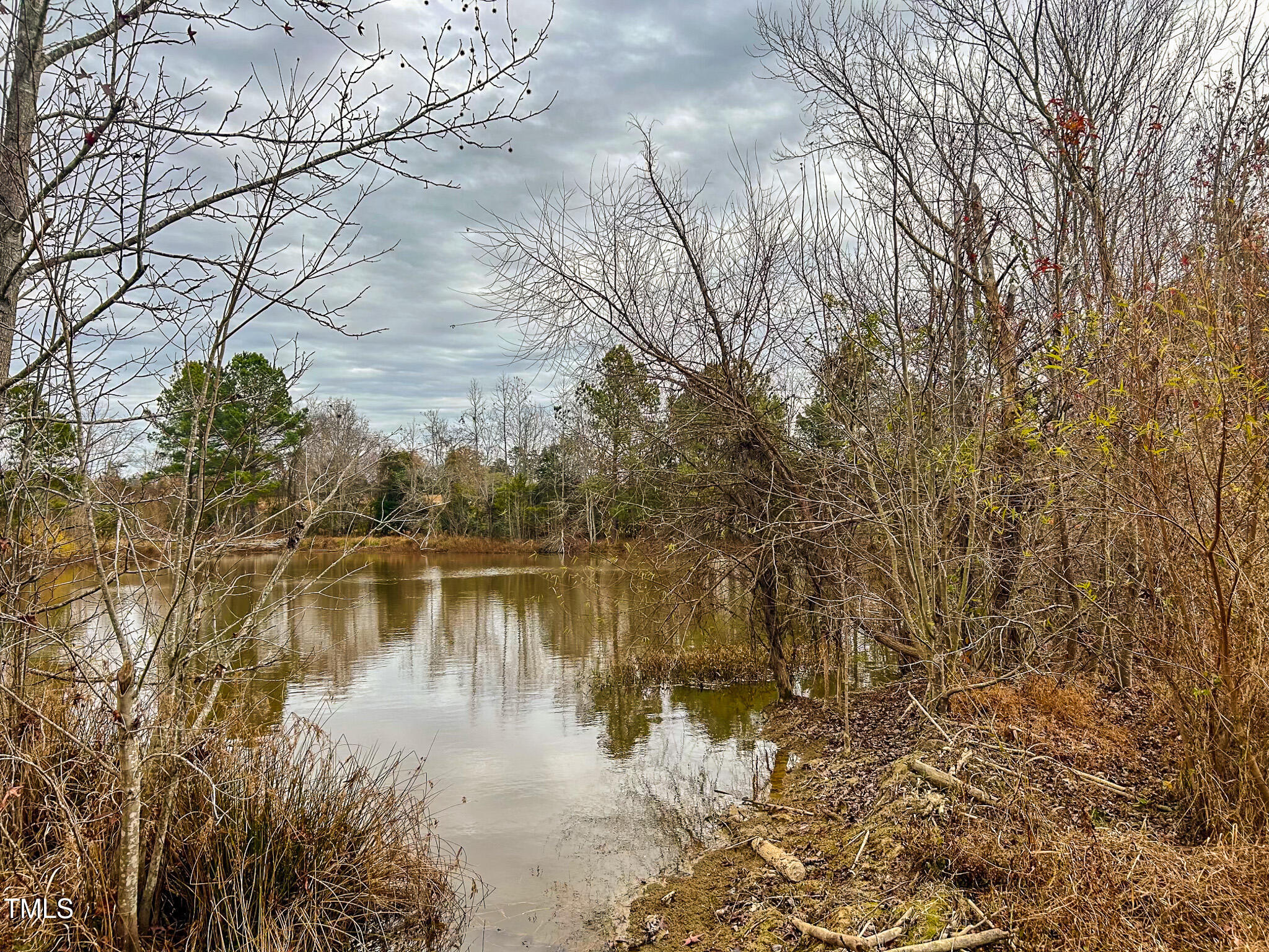 40-acres Thomas Humphries Road Roxboro, NC 27574 - Photo 3 of 13 IMG_9262