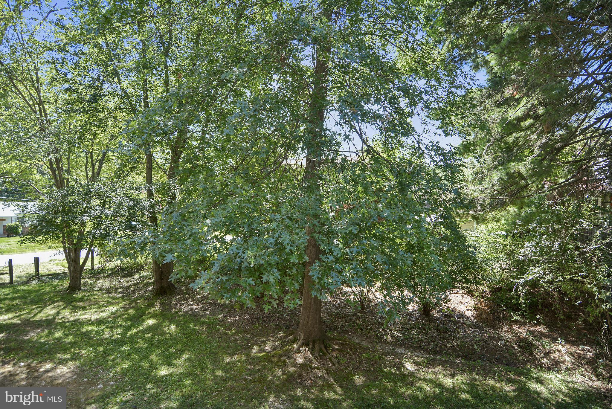 1409 Jackson Road Silver Spring, MD 20904 - Photo 28 of 30 a view of a yard