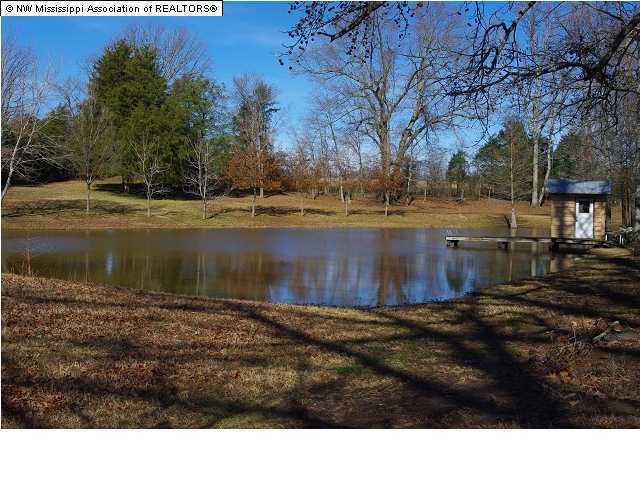 1147 Sycamore Road Coldwater, MS 38618 - Photo 6 of 17 Additional Photo
