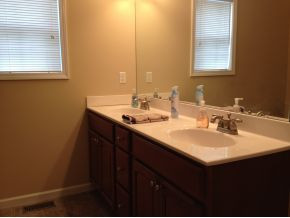 120 Pine Ridge Drive Afton, TN 37616 - Photo 13 of 24 Master Double Vanities