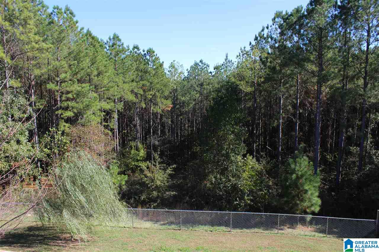 7160 Old Acton Road Moody, AL 35004 - Photo 28 of 29