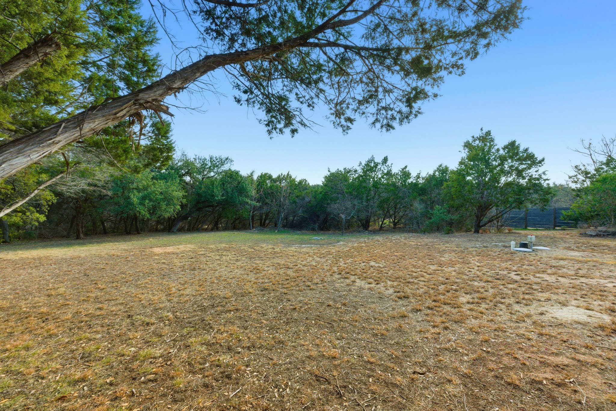 7805 Pitter Pat Lane Austin, TX 78736 - Photo 31 of 40 a view of a yard with a tree