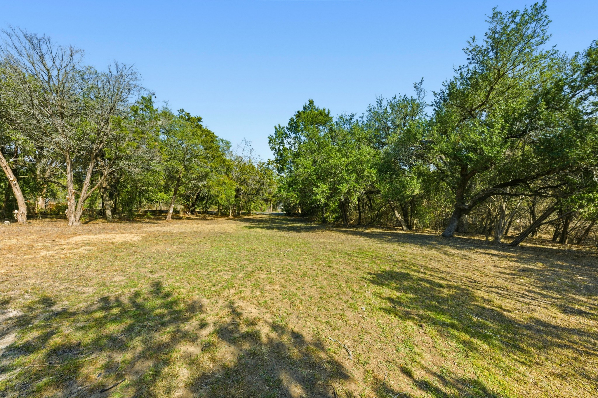 7805 Pitter Pat Lane Austin, TX 78736 - Photo 35 of 40 a view of yard and tree