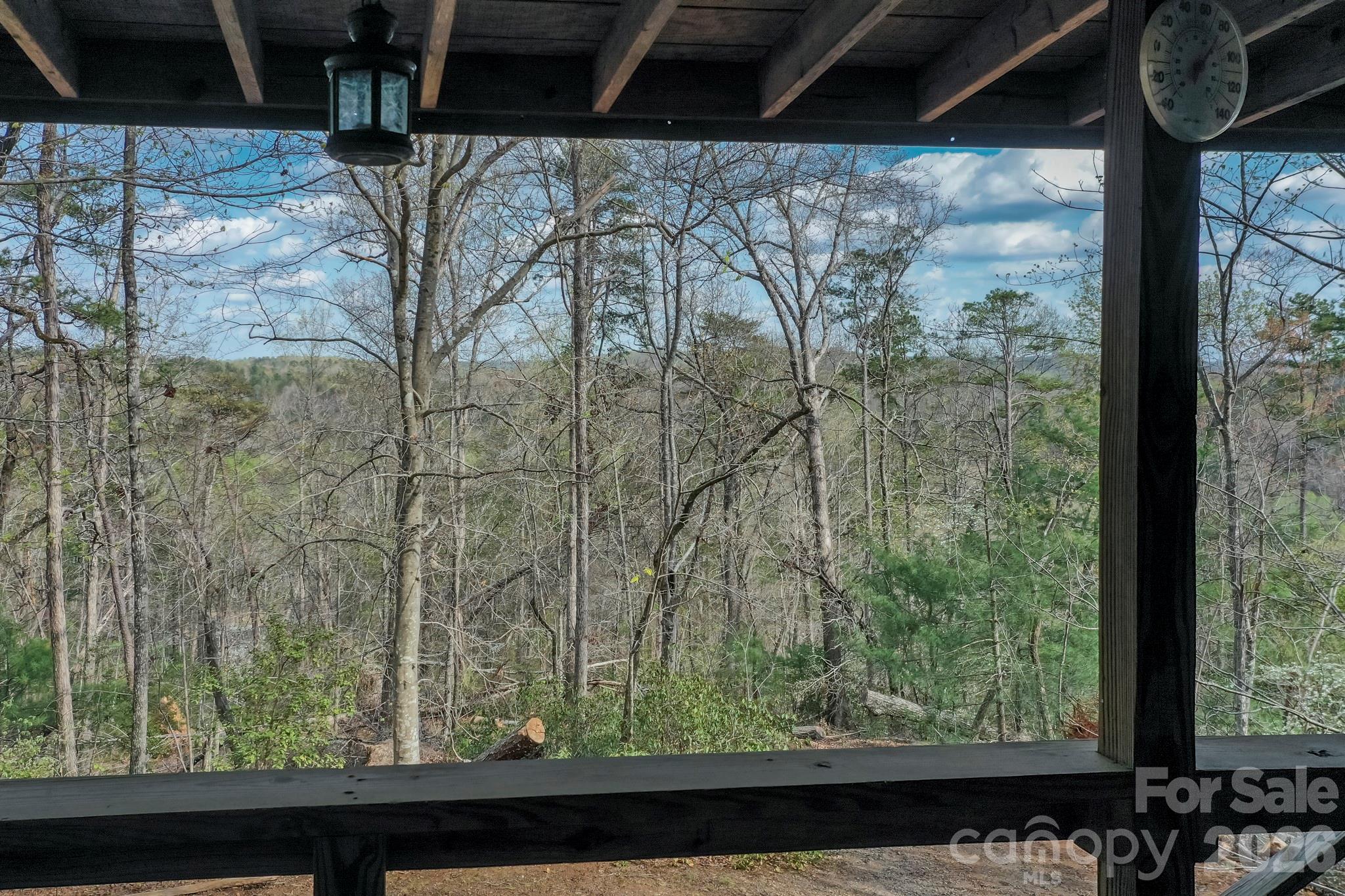 201 North Chase Lane Rutherfordton, NC 28139 - Photo 20 of 22