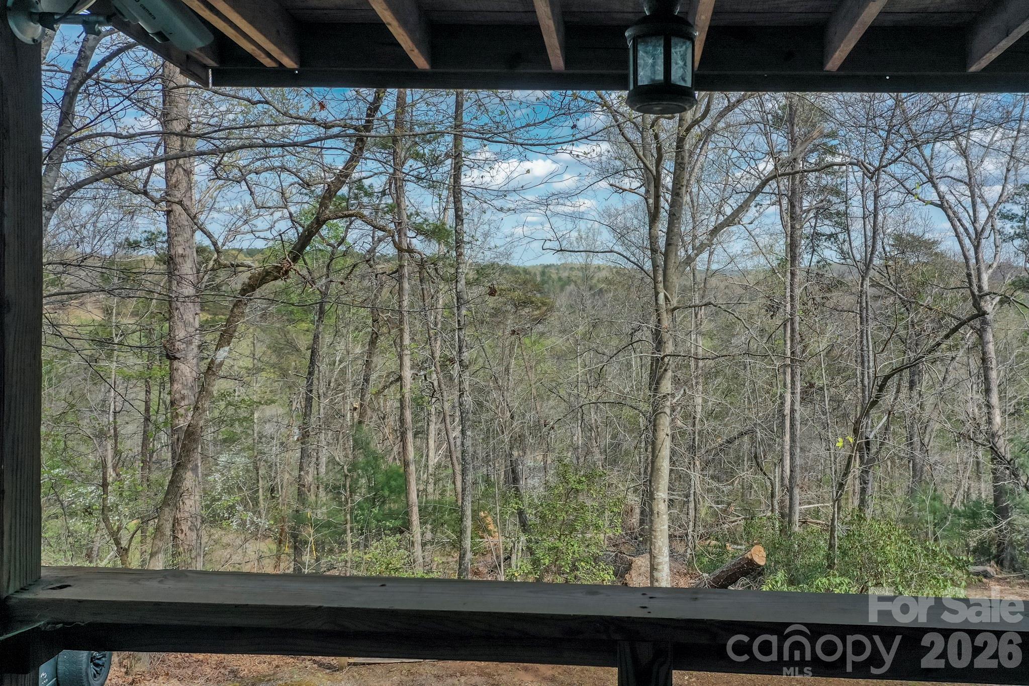 201 North Chase Lane Rutherfordton, NC 28139 - Photo 21 of 22