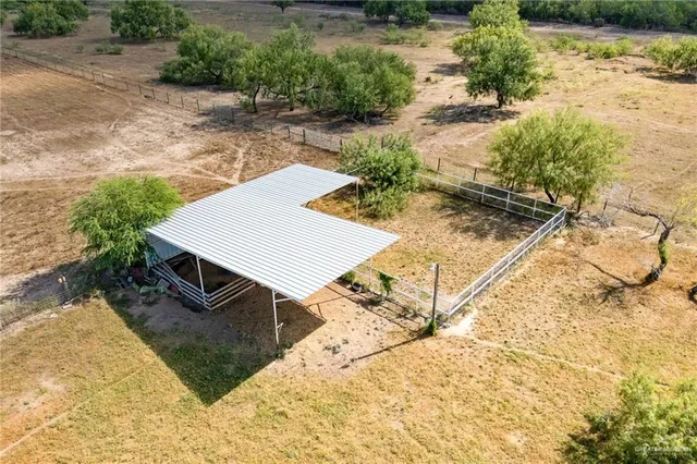 a view of a backyard with plants