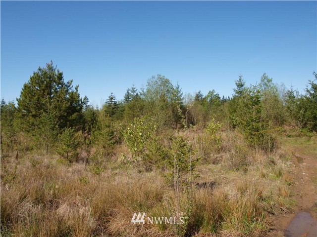 168 Kuty Drive Toledo, WA 98591 - Photo 1 of 1 Gallery Image 1