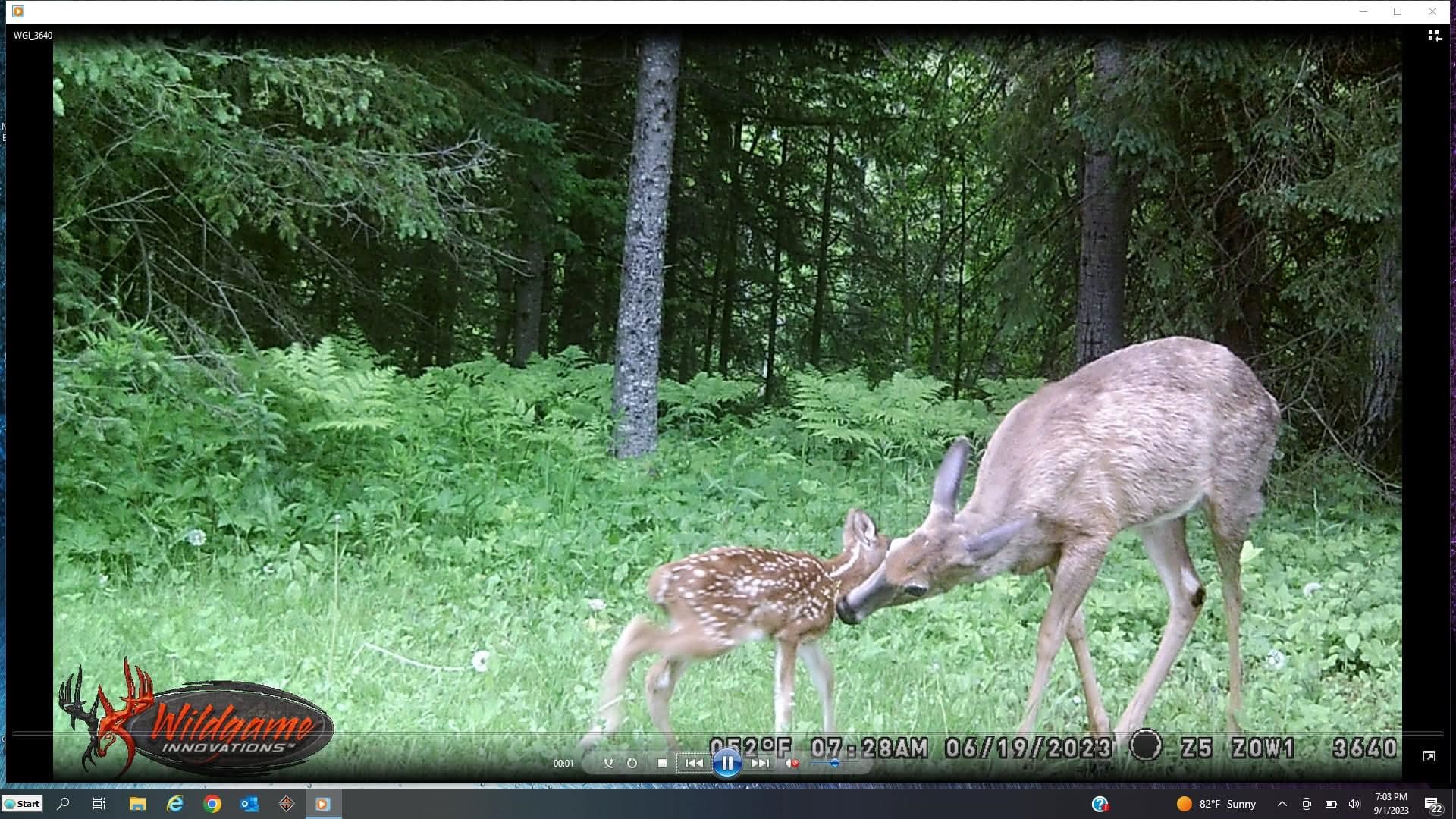 3994 County Rd U South Range, WI 54874 - Photo 34 of 56 View of undeveloped land