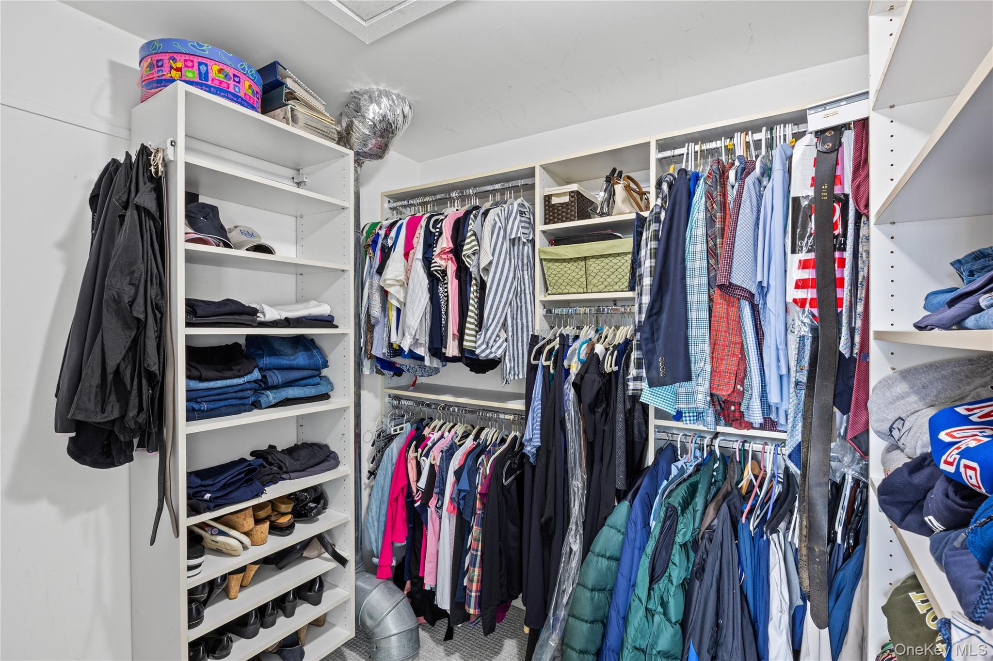 416 Argyle Road Mineola, NY 11501 - Photo 30 of 46 a view of walk in closet with clothes and shoes