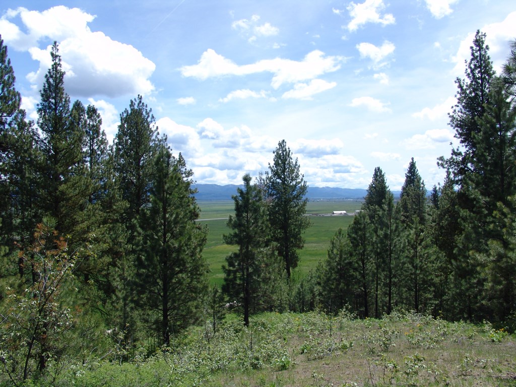 28 Rehn Loop, Unit 2 Cascade, ID 83611 - Photo 2 of 13 Mountain & Valley Views