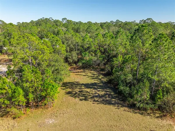 a view of a yard with a tree