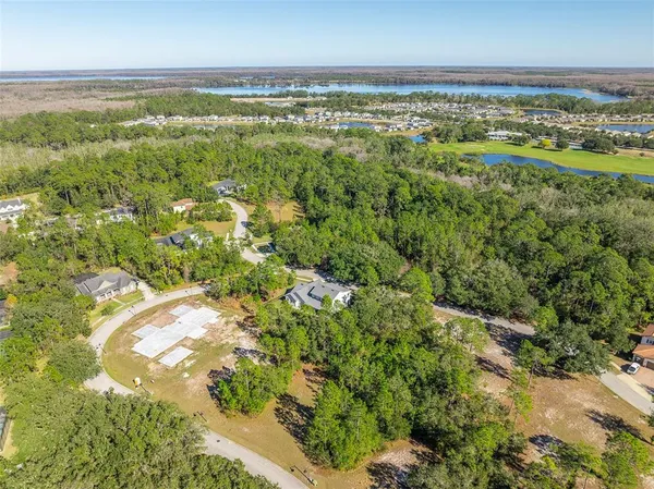 an aerial view of residential houses with outdoor space and trees