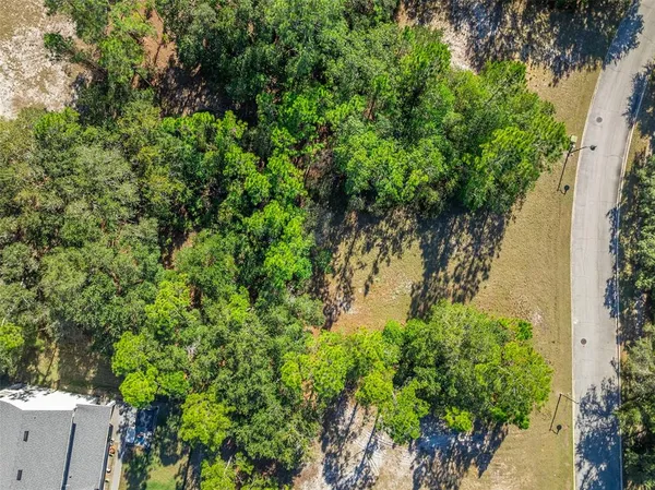 a plant that is in a garden