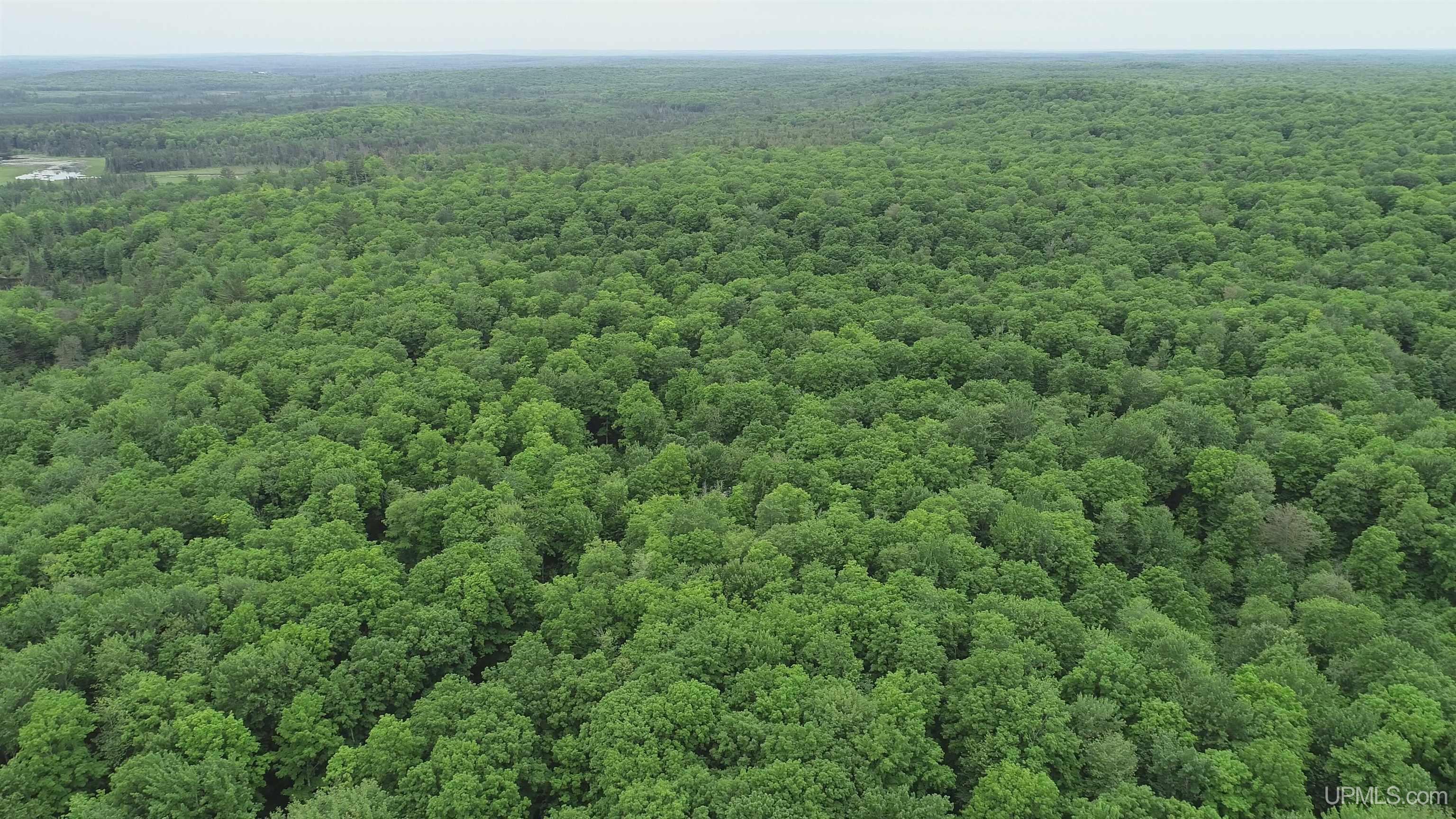40-acres The Grade Road Crystal Falls, MI 49920 - Photo 36 of 39