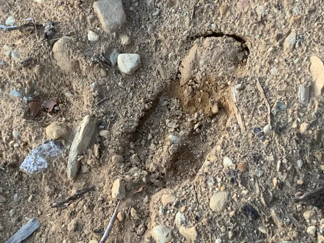 $289,000 | 19-upper Bear Lane, Rumford, ME 04276