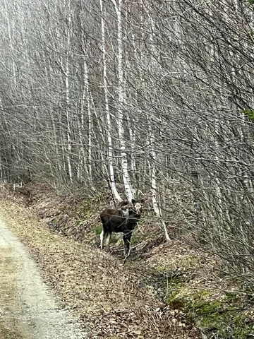 $289,000 | 19-upper Bear Lane, Rumford, ME 04276