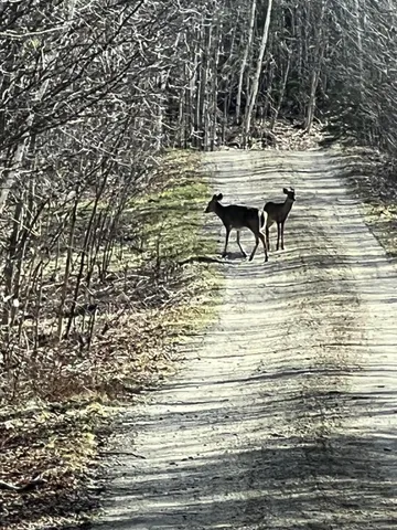 $289,000 | 19-upper Bear Lane, Rumford, ME 04276
