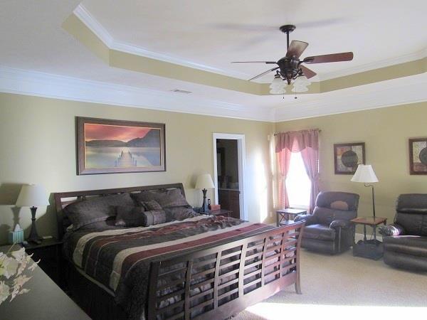 3499 Allen Barrett Road Murfreesboro, TN 37129 - Photo 11 of 20 Trey Ceiling in Master Suite