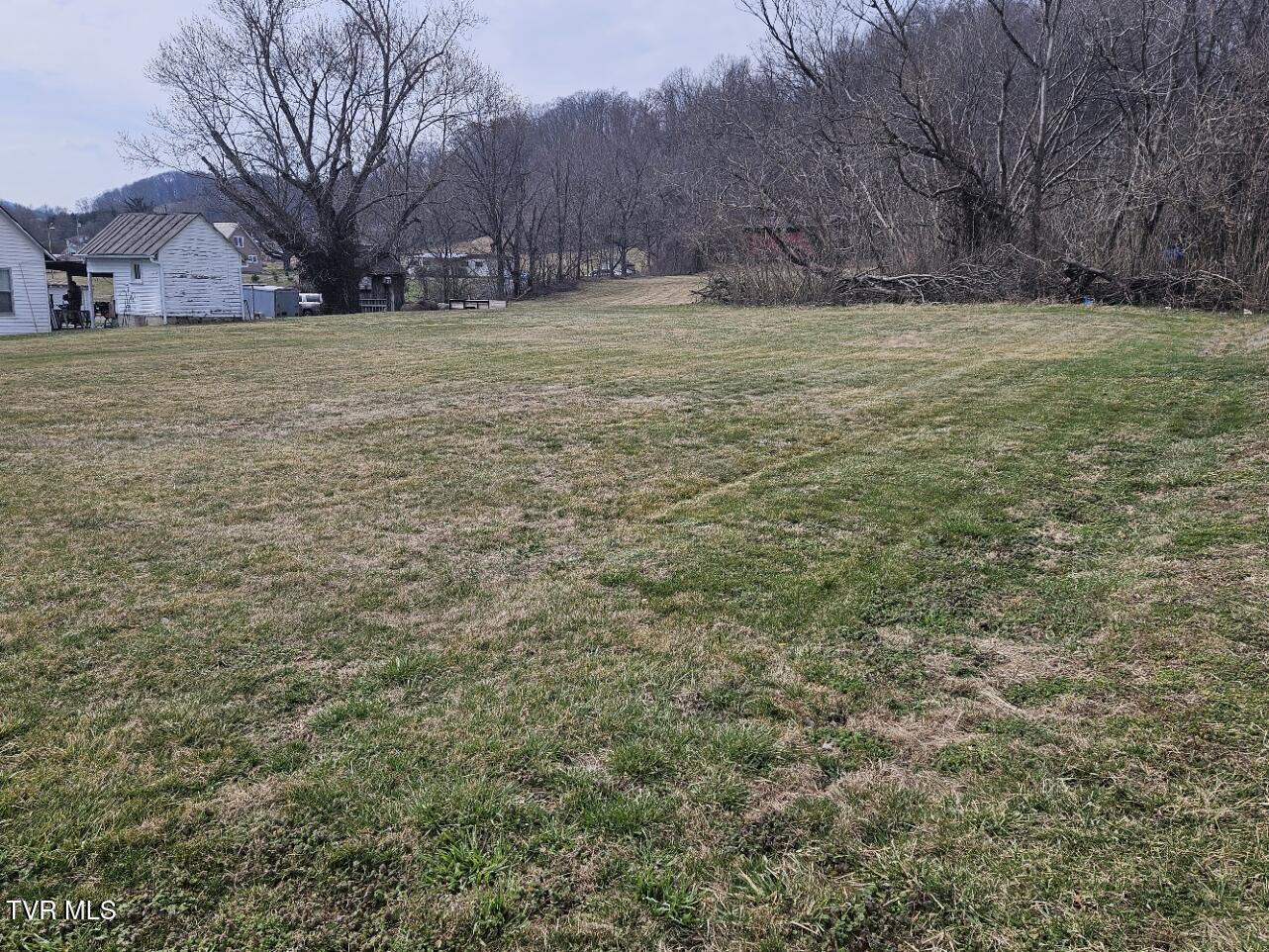 Tbd State Line Road Elizabethton, TN 37643 - Photo 3 of 4 land3