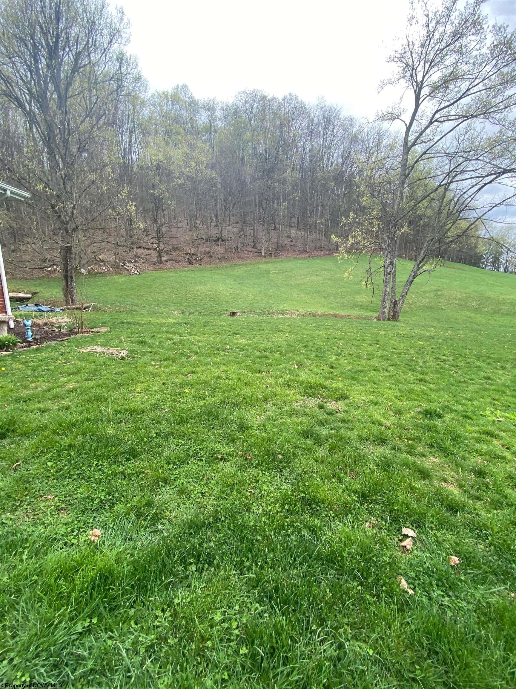 778 Smith Run Road Weston, WV 26452 - Photo 5 of 18 Gallery Image 5