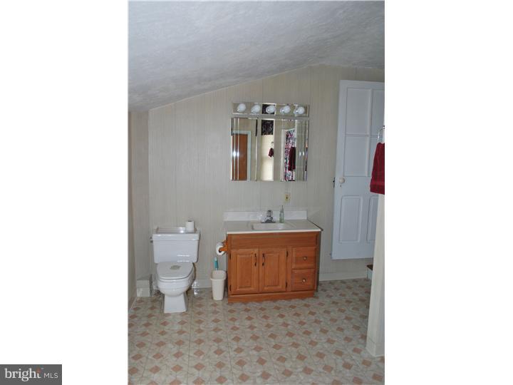 232 Morgan Street Phoenixville, PA 19460 - Photo 12 of 19 Bathroom
