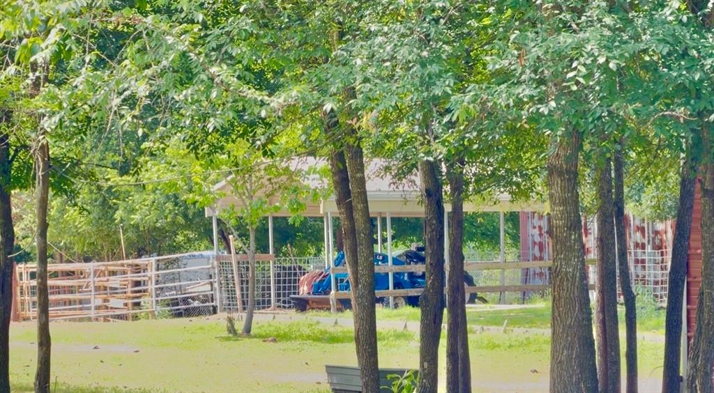 8261 County Road 381 Tyler, TX 75708 - Photo 10 of 40 a view of outdoor space with a garden and trees