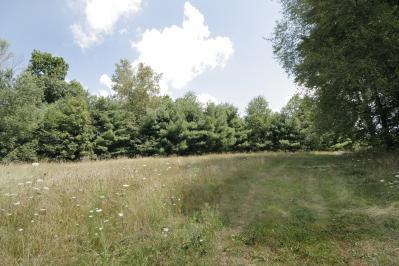 8801 Cedar Creek Road Dowling, MI 49050 - Photo 20 of 21 Additional Photo