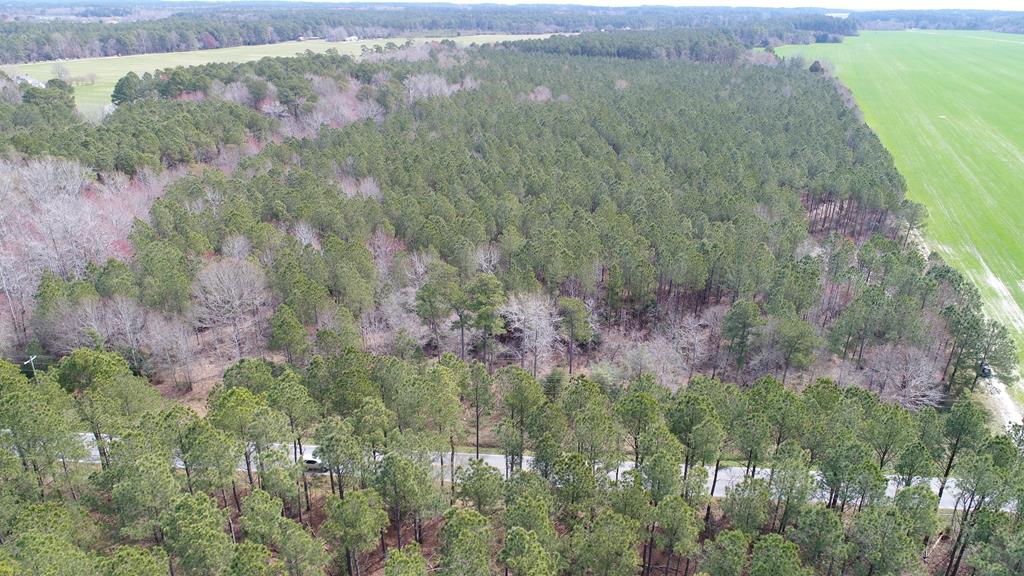 0 Drummondtown Road Accomac, VA 23301 - Photo 34 of 50