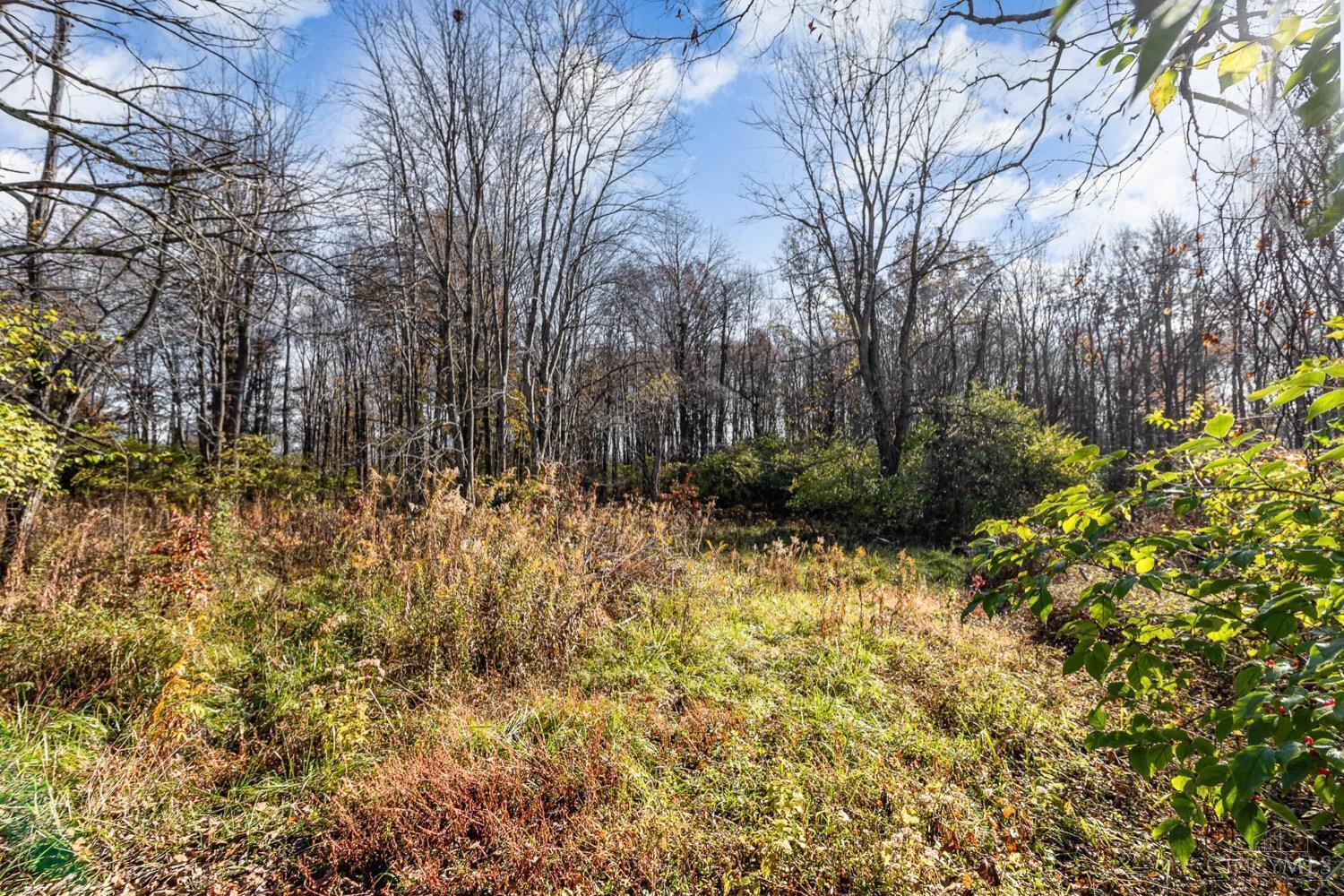 0 Lewis Road Amelia, OH 45102 - Photo 16 of 16 Gallery Image 16