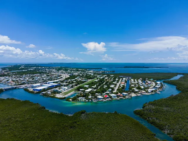 an aerial view of a house with outdoor space swimming pool