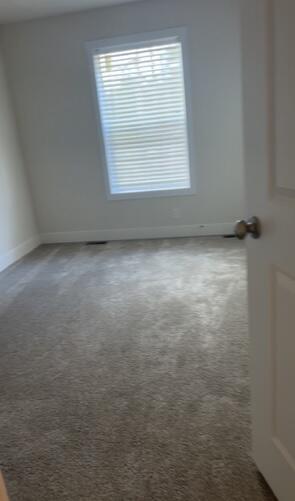 9036 Jones Road Howard City, MI 49329 - Photo 15 of 23 IMG_0276