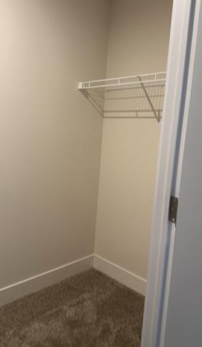 9036 Jones Road Howard City, MI 49329 - Photo 17 of 23 IMG_0273