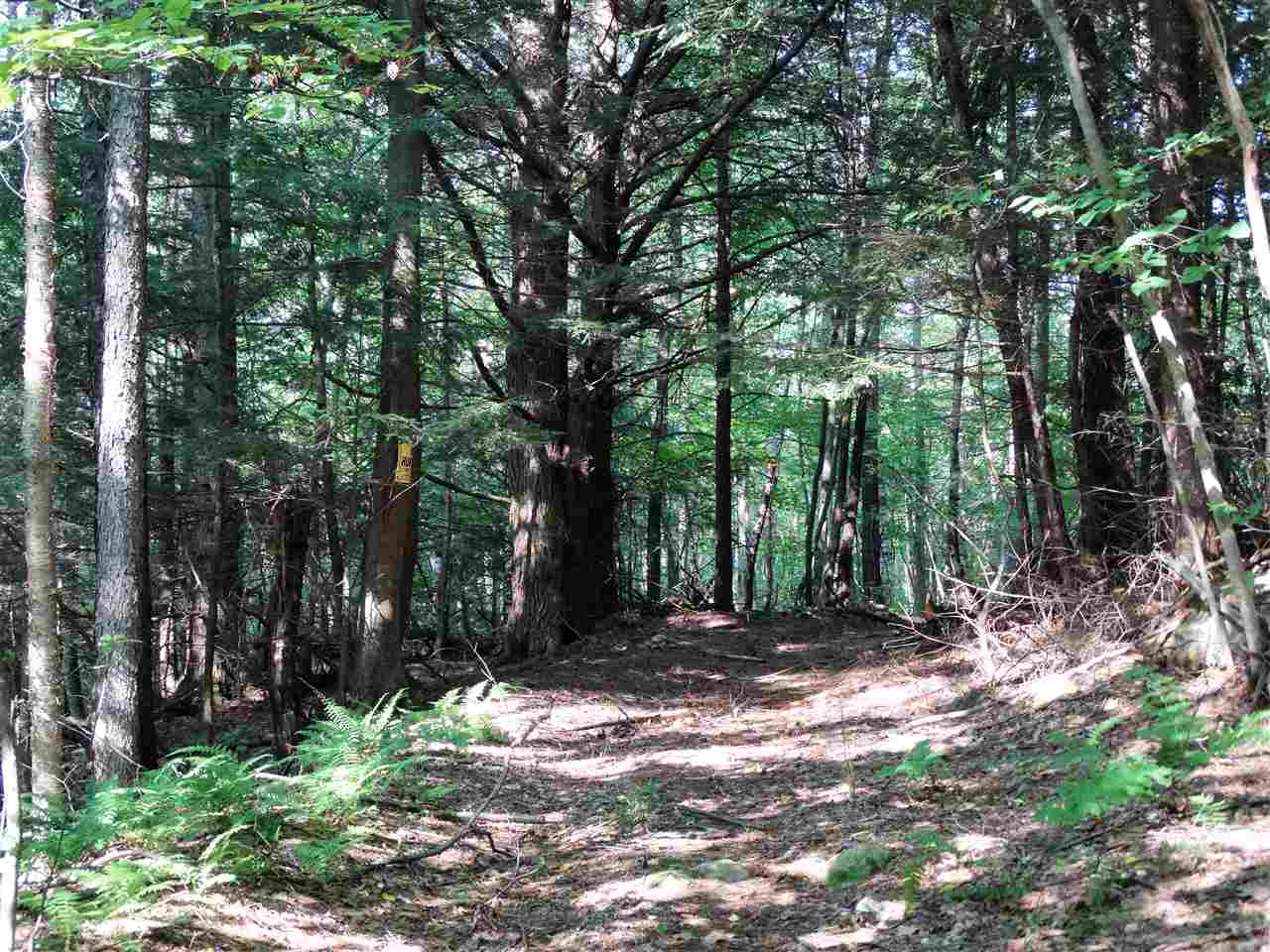 490 Coleville Road Bennington, VT 05201 - Photo 35 of 39
