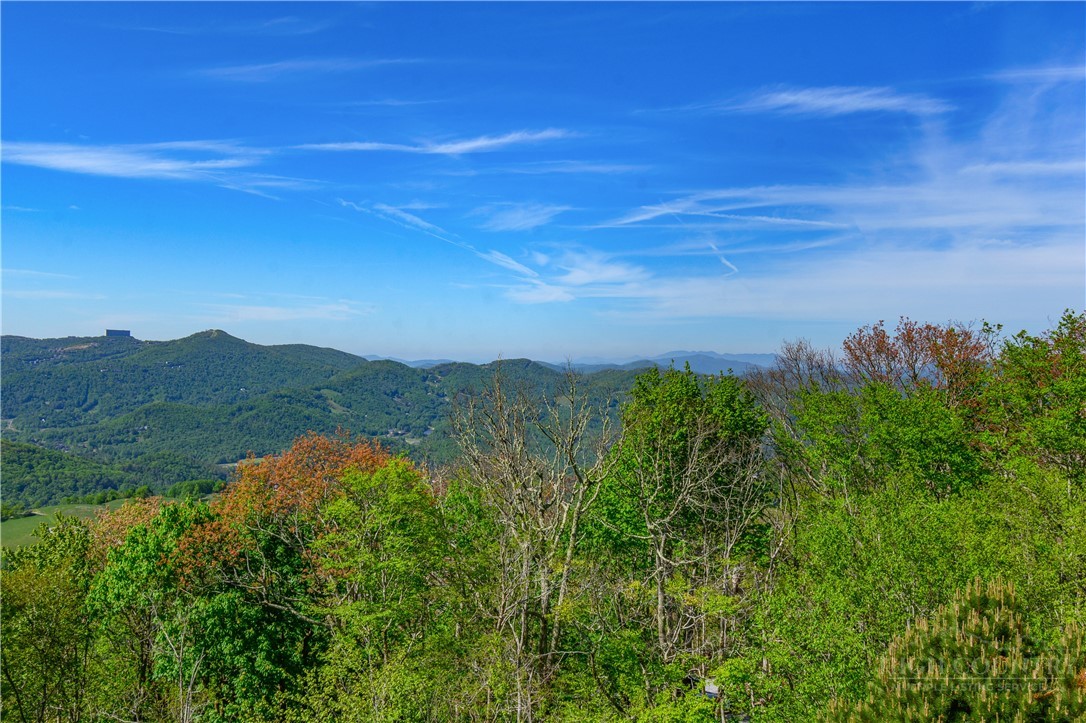 510 Elderberry Ridge Road, Unit F201 Beech Mountain, NC 28604 - Photo 4 of 25
