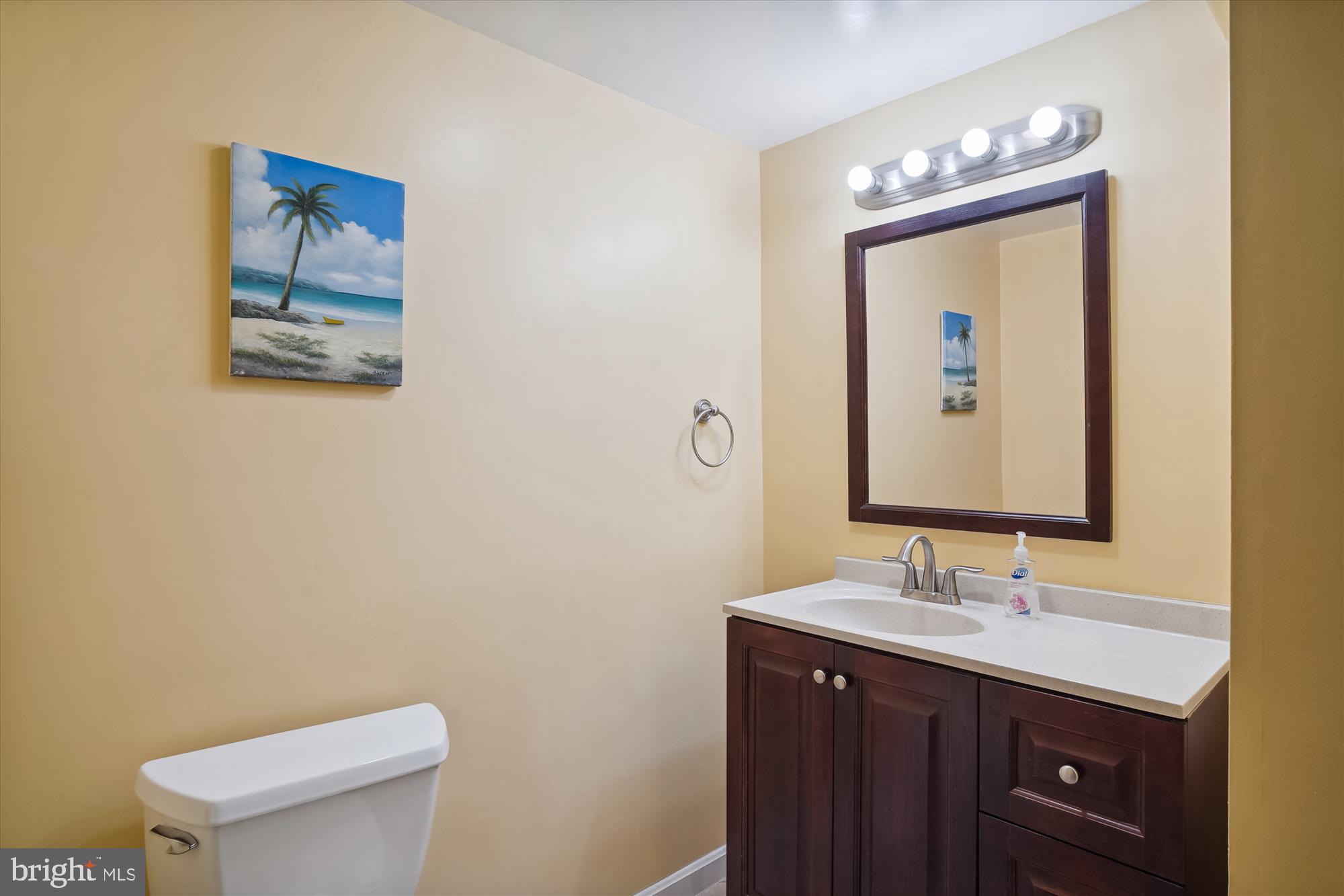 18709 Bloomfield Road Olney, MD 20832 - Photo 38 of 56 a bathroom with a toilet a sink and mirror