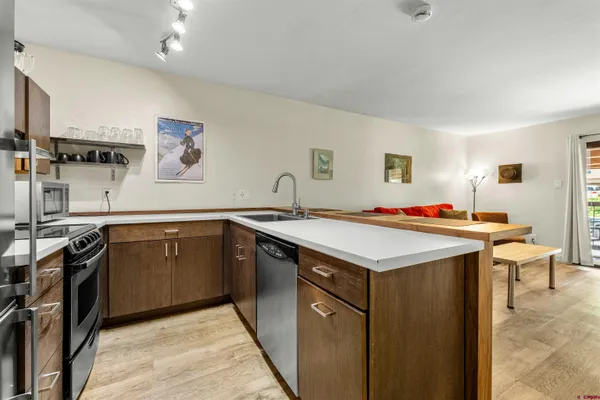 $299,000 | 455 Sheol Street, Unit 209, Durango, CO 81301