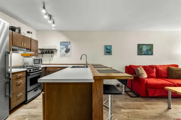 $299,000 | 455 Sheol Street, Unit 209, Durango, CO 81301