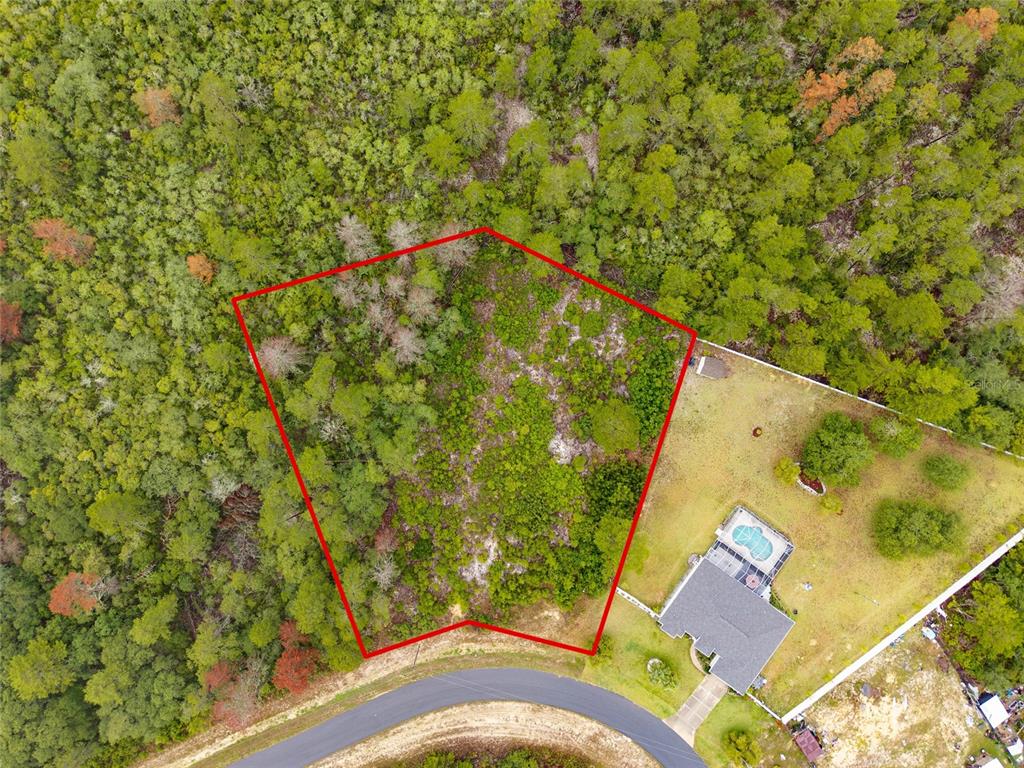 16 Southwest 170th Loop Ocala, FL 34473 - Photo 1 of 1 Gallery Image 1