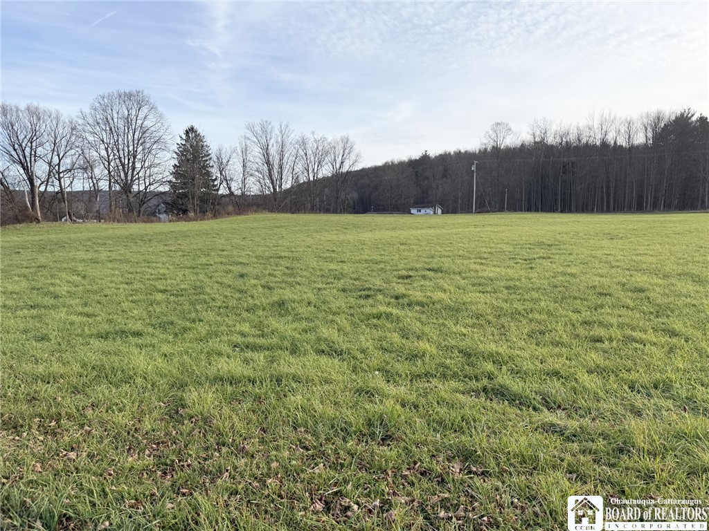 755 Harrington Road Carroll, NY 14738 - Photo 35 of 38