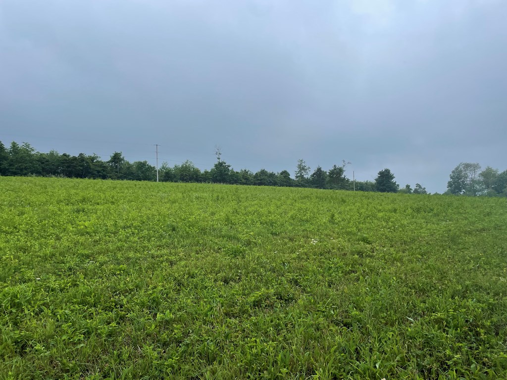 753 Burns Farm Road Sligo, PA 16255 - Photo 20 of 24 Gallery Image 20